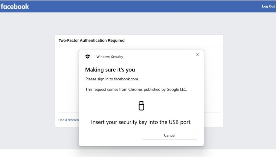 當輸入第一道密碼後，瀏覽器會跳出頁面讓你插入已註冊的實體金鑰